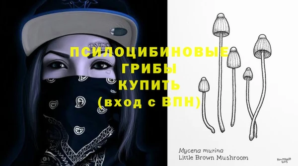 гашишное масло Богданович